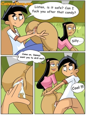 Danny Phantom- Cool Picnic 04 Adult Comics comics