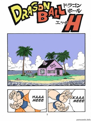 Dragon Ball H 03 Hentai Manga comics