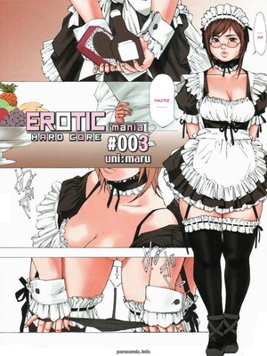 Erotic Mania Hard Core 09 Hentai Manga comics