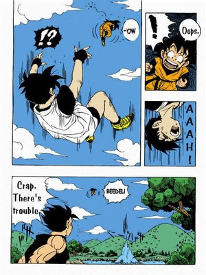Garland- Dragon Ball H 04 Hentai Manga comics