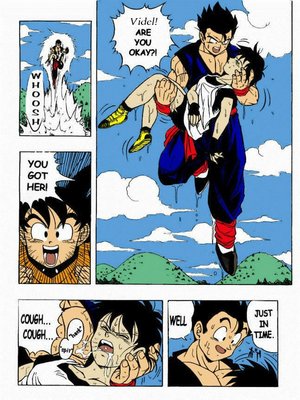 Garland- Dragon Ball H 06 Hentai Manga comics