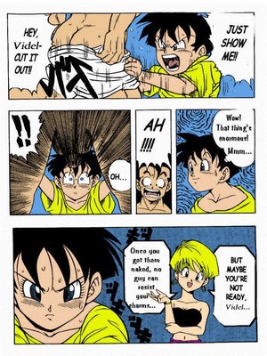Garland- Dragon Ball H 11 Hentai Manga comics