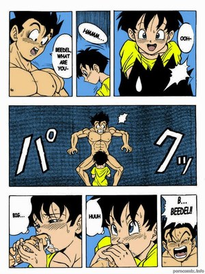 Garland- Dragon Ball H 12 Hentai Manga comics