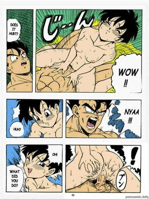 Garland- Dragon Ball H 19 Hentai Manga comics
