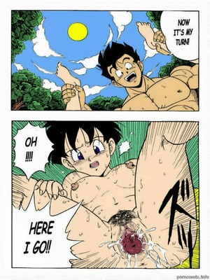 Garland- Dragon Ball H 25 Hentai Manga comics