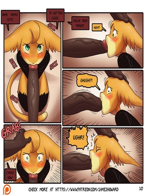 James Howard- The Courtroom 12 Adult Comics, Furry Comics comics