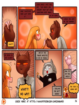 James Howard- The Courtroom 45 Adult Comics, Furry Comics comics