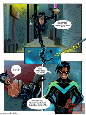 Porn Comics - Justice League- Nightwing and Catwoman Porncomics