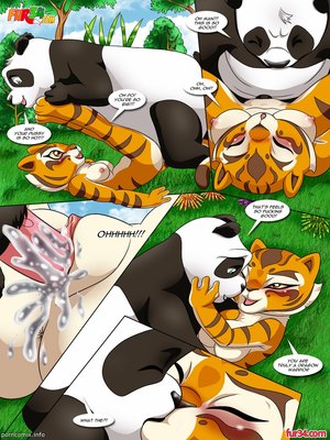 Kung Fu Panda- True Meaning of Awesomeness 12 Furry Comics comics