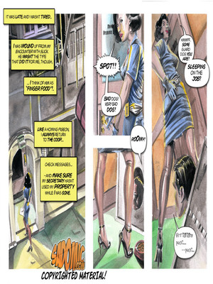 Sadomic- Niki Law 08 Porncomics comics