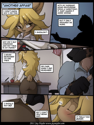 Short Shorts- Jay Naylor 08 Adult Comics, Furry Comics comics