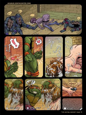 TMNT -The Mating Season 20 Adult Comics comics