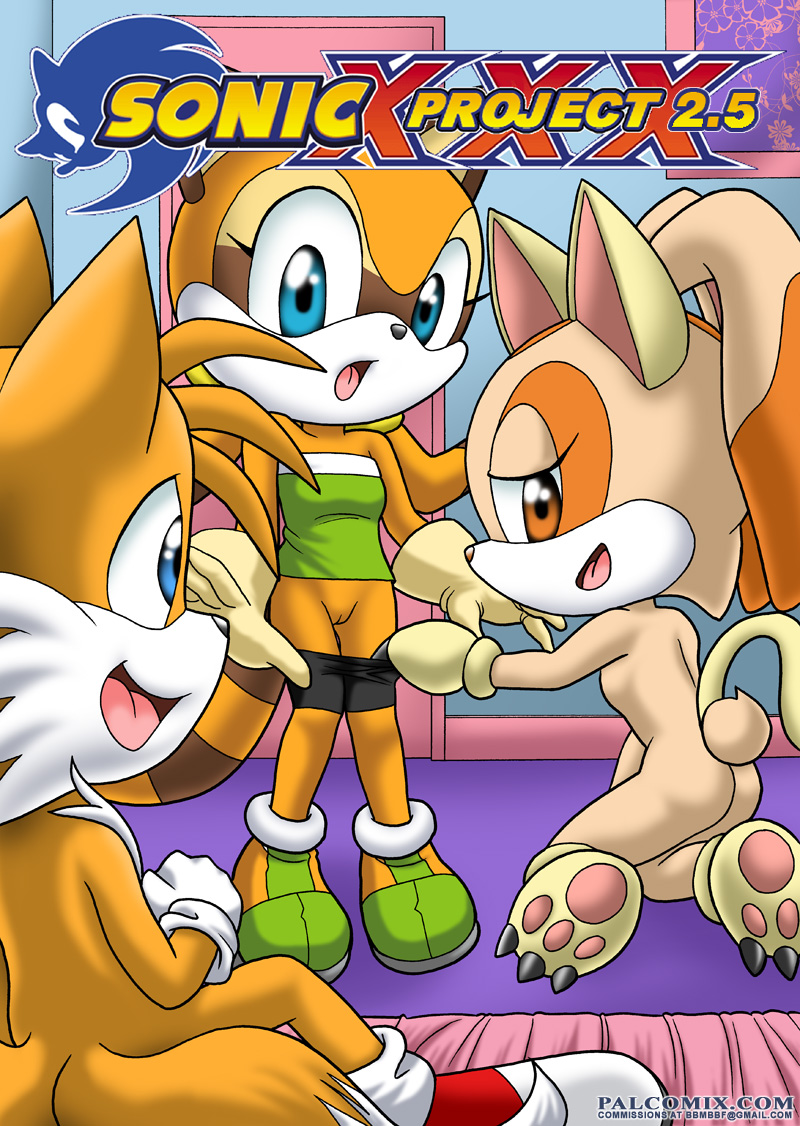 Pal Comix – Sonic xxx Project 2.5 Furry Comics 001