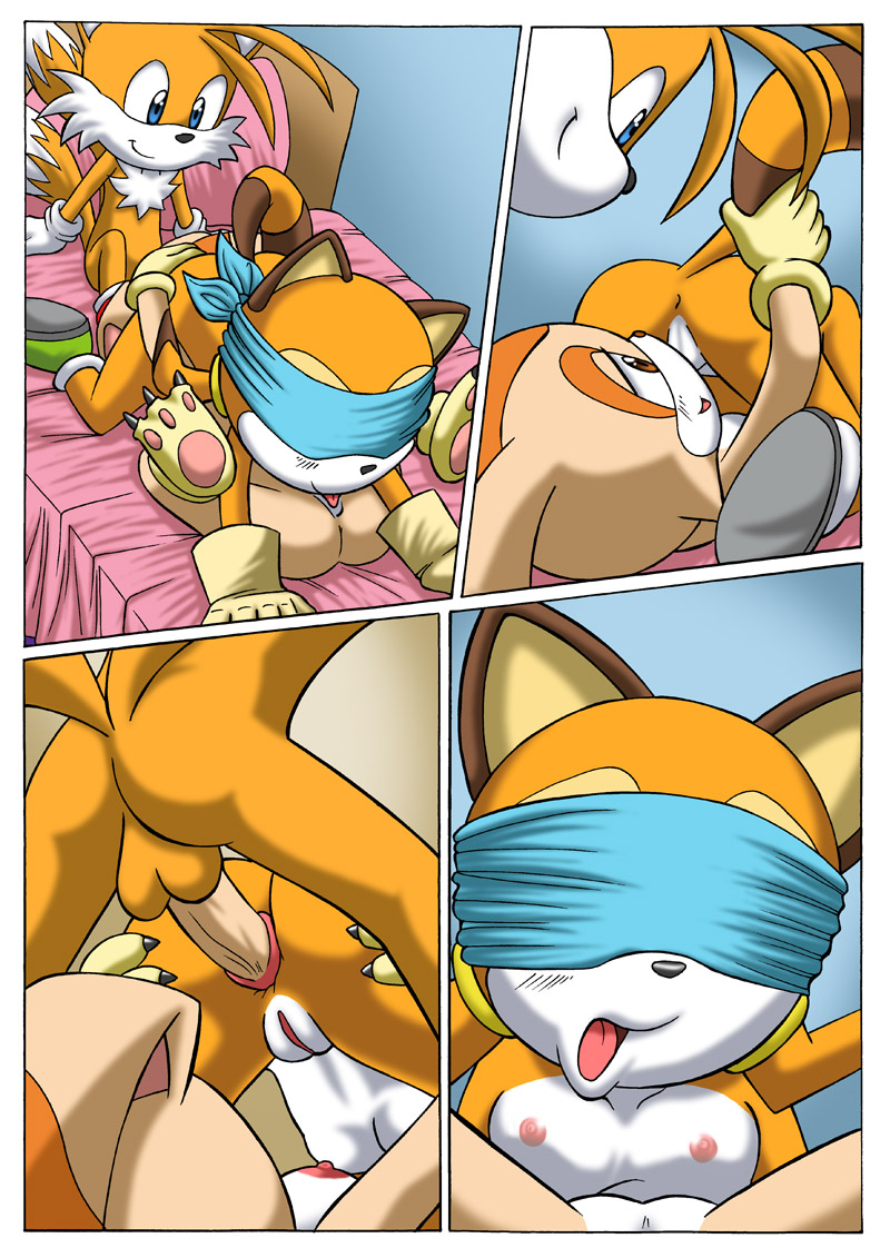 Pal Comix – Sonic xxx Project 2.5 Furry Comics 005