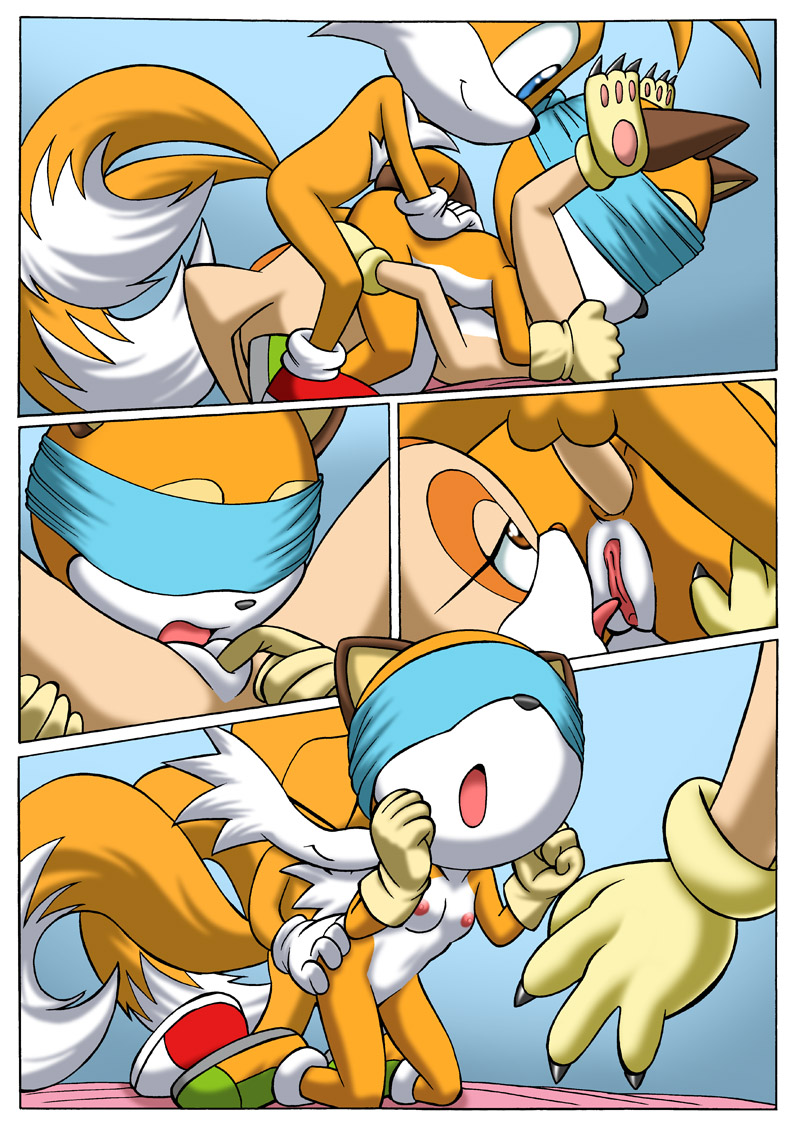 Pal Comix – Sonic xxx Project 2.5 Furry Comics 006