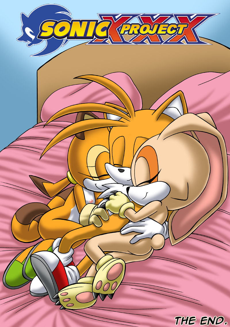 Pal Comix – Sonic xxx Project 2.5 Furry Comics 008